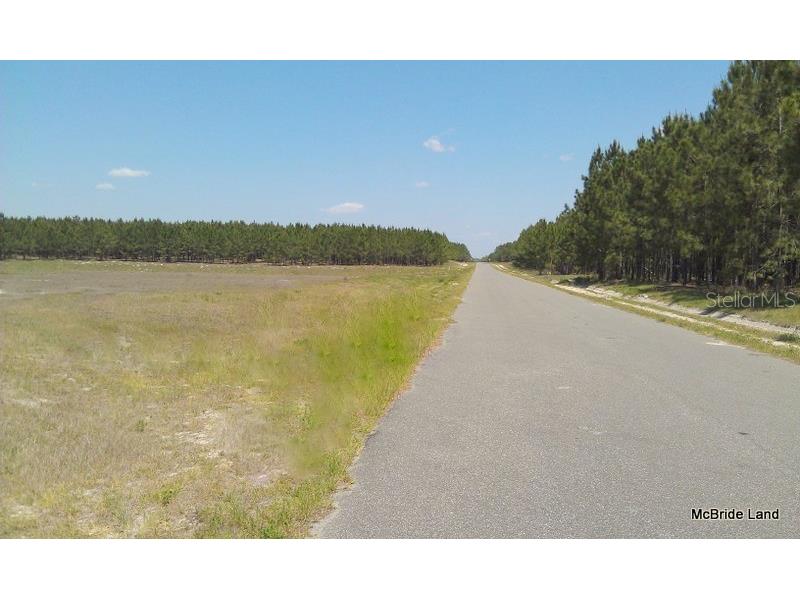 17001 SW Highway 484 Dunnellon FL 34432 OM647614 image6