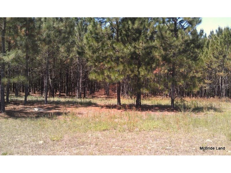 17001 SW Highway 484 Dunnellon FL 34432 OM647614 image7