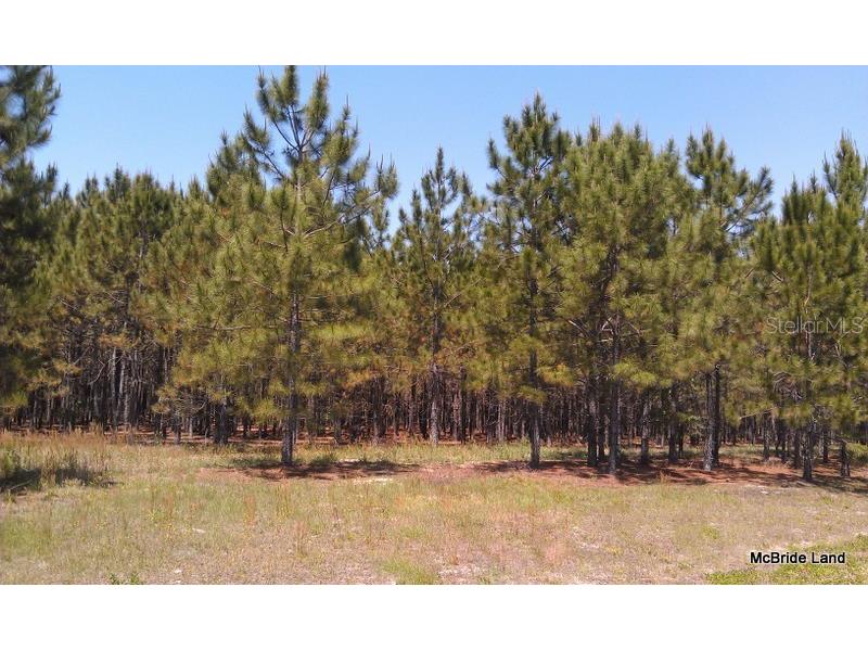 17001 SW Highway 484 Dunnellon FL 34432 OM647614 image8