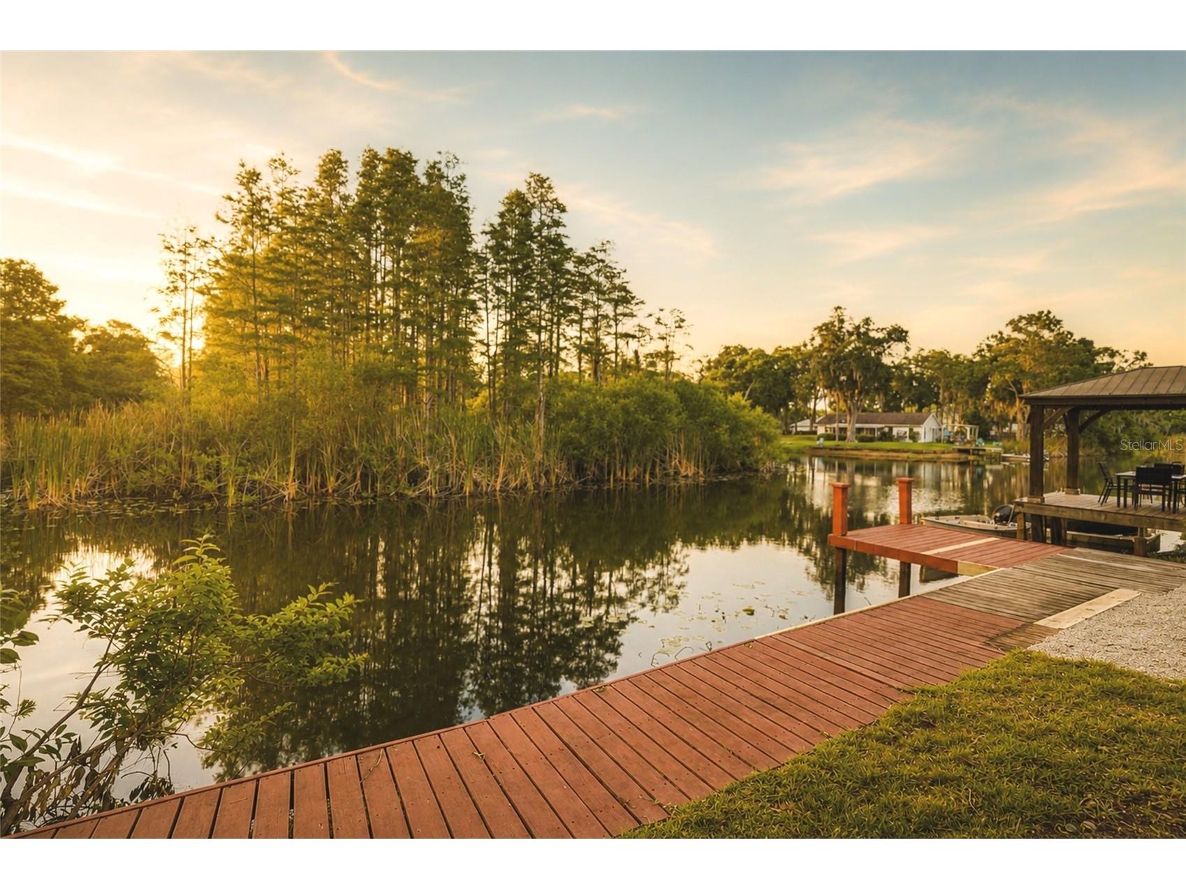 17002 Paula Lane Lutz FL 33558 TB8505363 image2