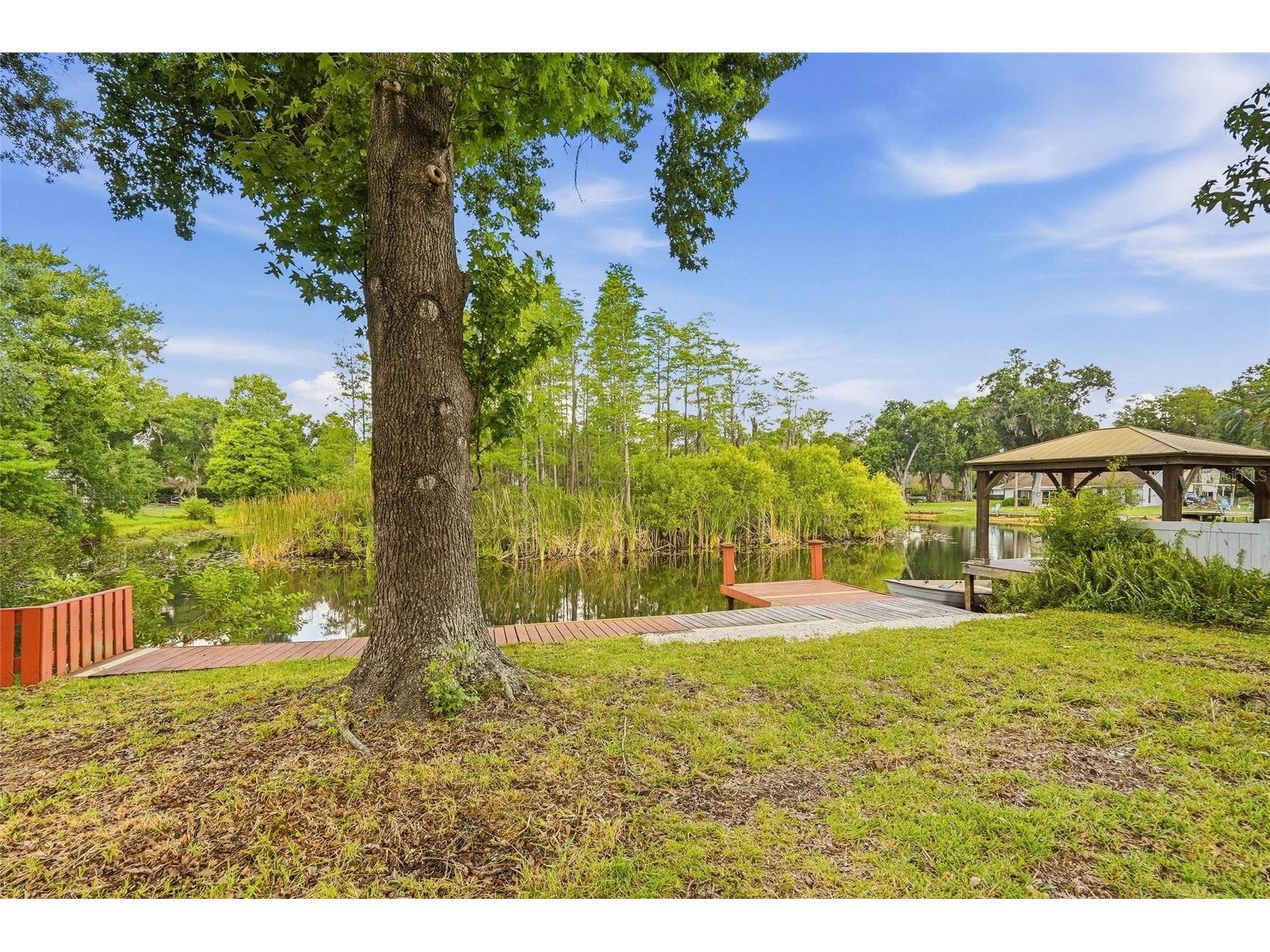 17002 Paula Lane Lutz FL 33558 TB8505363 image31