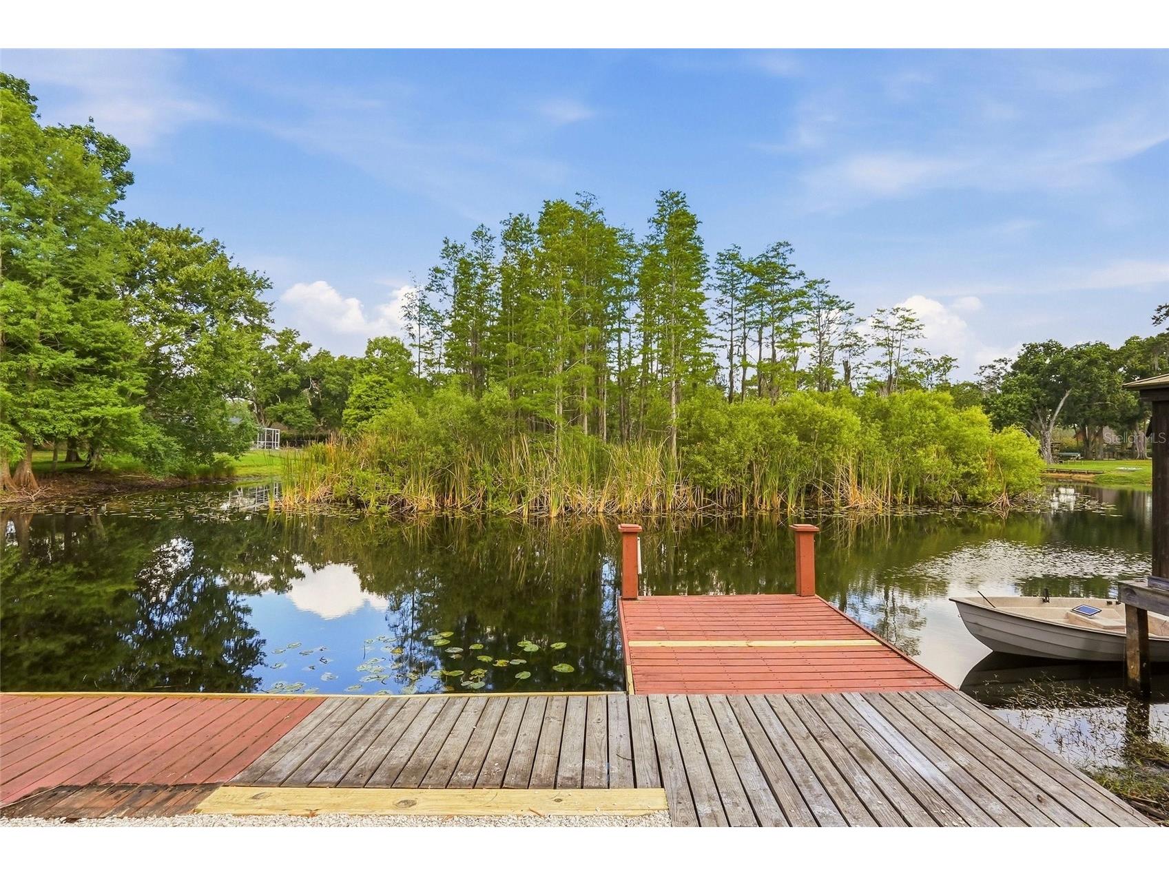 17002 Paula Lane Lutz FL 33558 TB8505363 image33