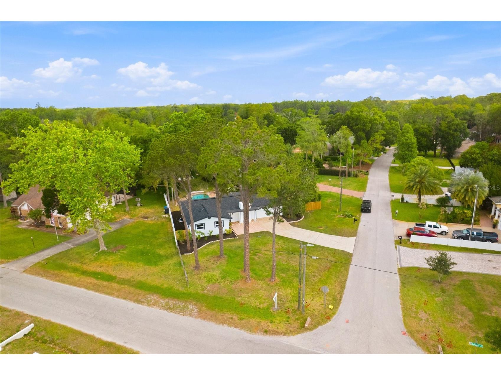 17002 Paula Lane Lutz FL 33558 TB8505363 image39