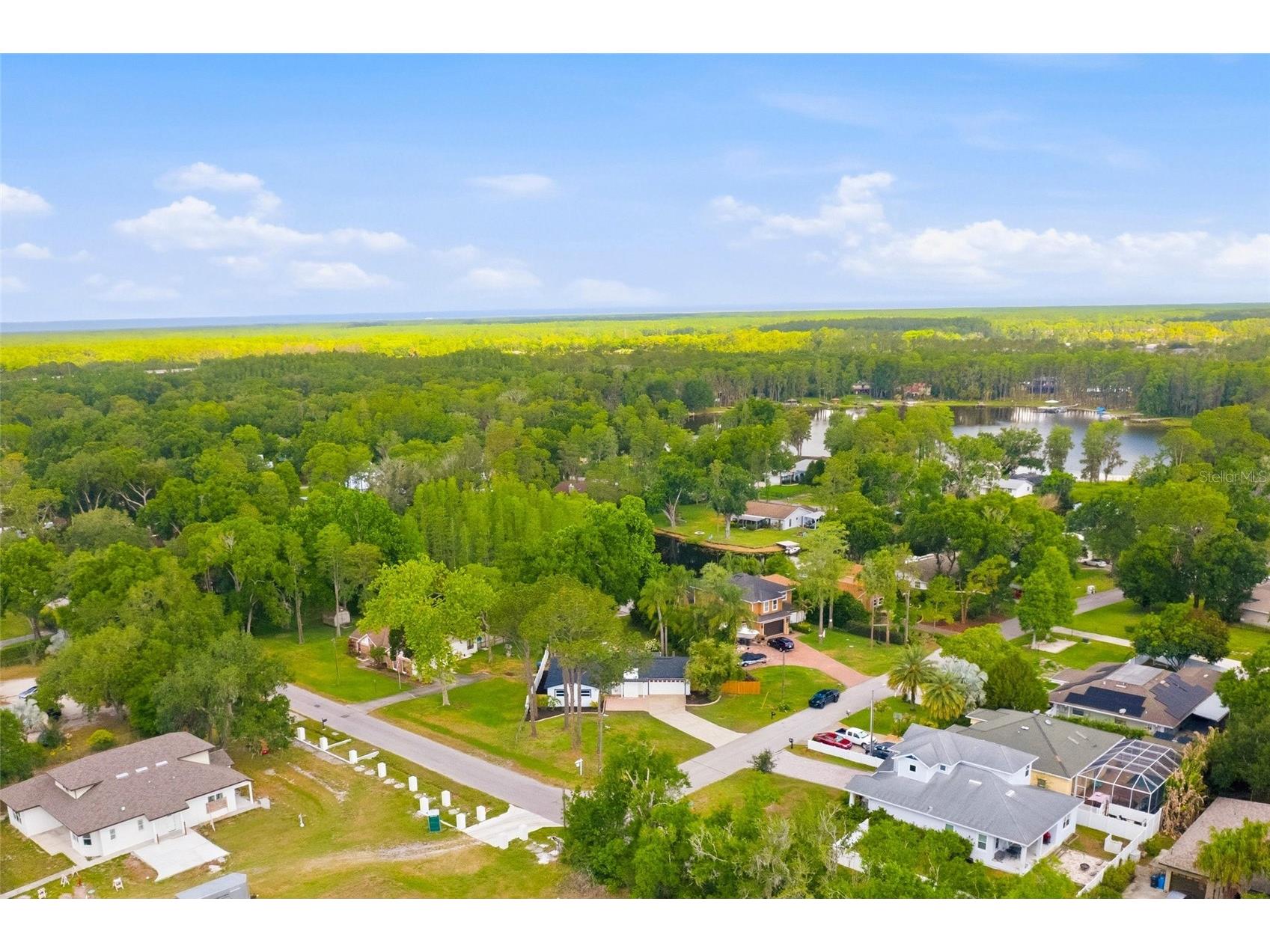 17002 Paula Lane Lutz FL 33558 TB8505363 image40
