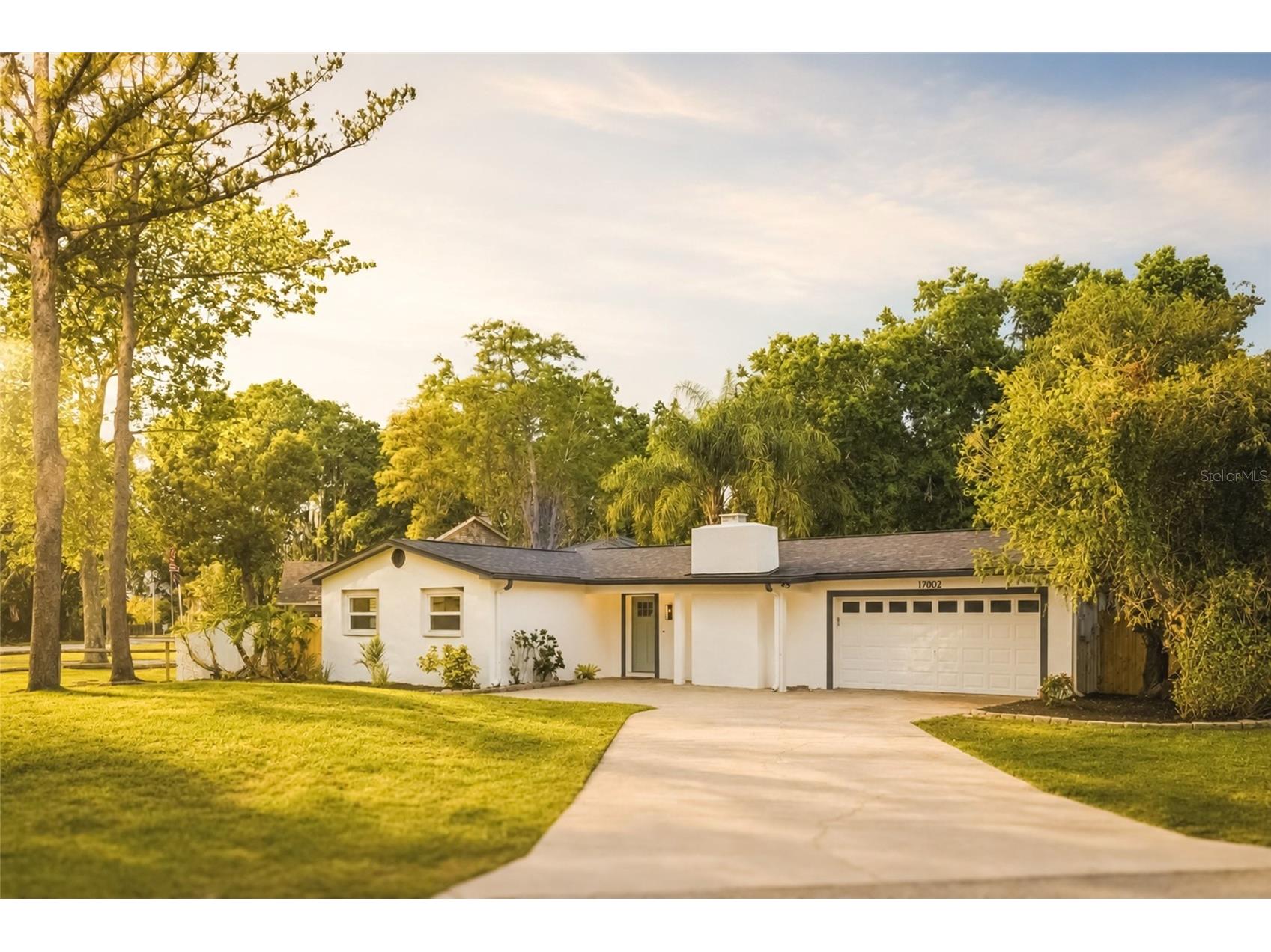 17002 Paula Lane Lutz FL 33558 TB8505363 image51