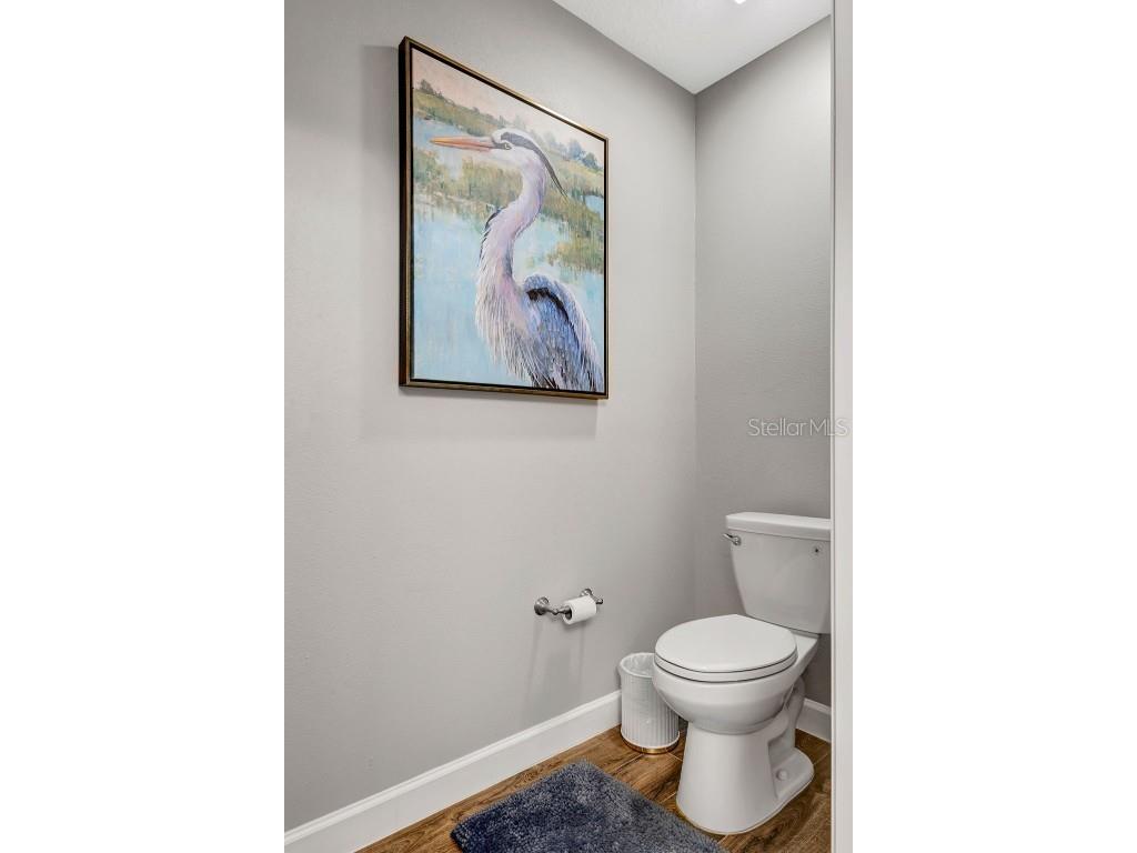 17003 Clear Cork Drive Wimauma FL 33598 - SOUTHSHIORE BAY CLUB LAGOON A4674265 image31