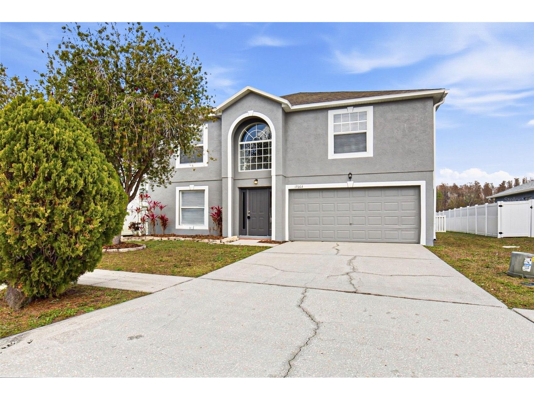 17003 Odessa Drive Land O Lakes FL 34638 O6383222 image1