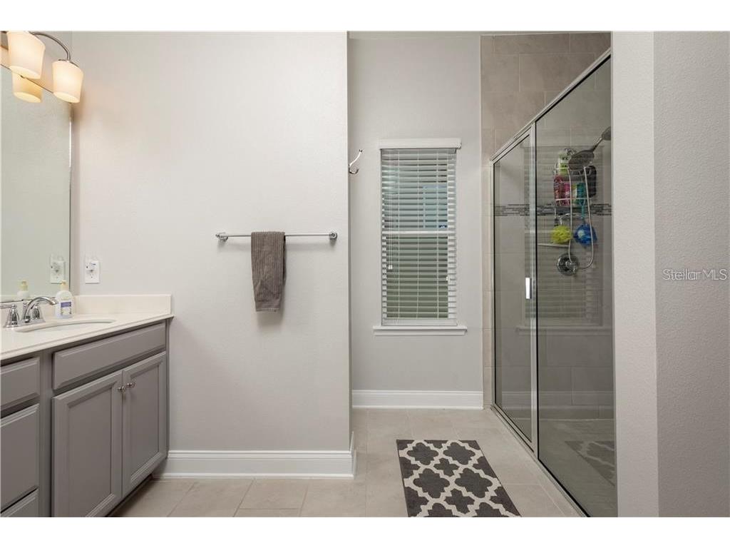 17004 Gathering Place Circle Clermont FL 34711 O6391310 image9