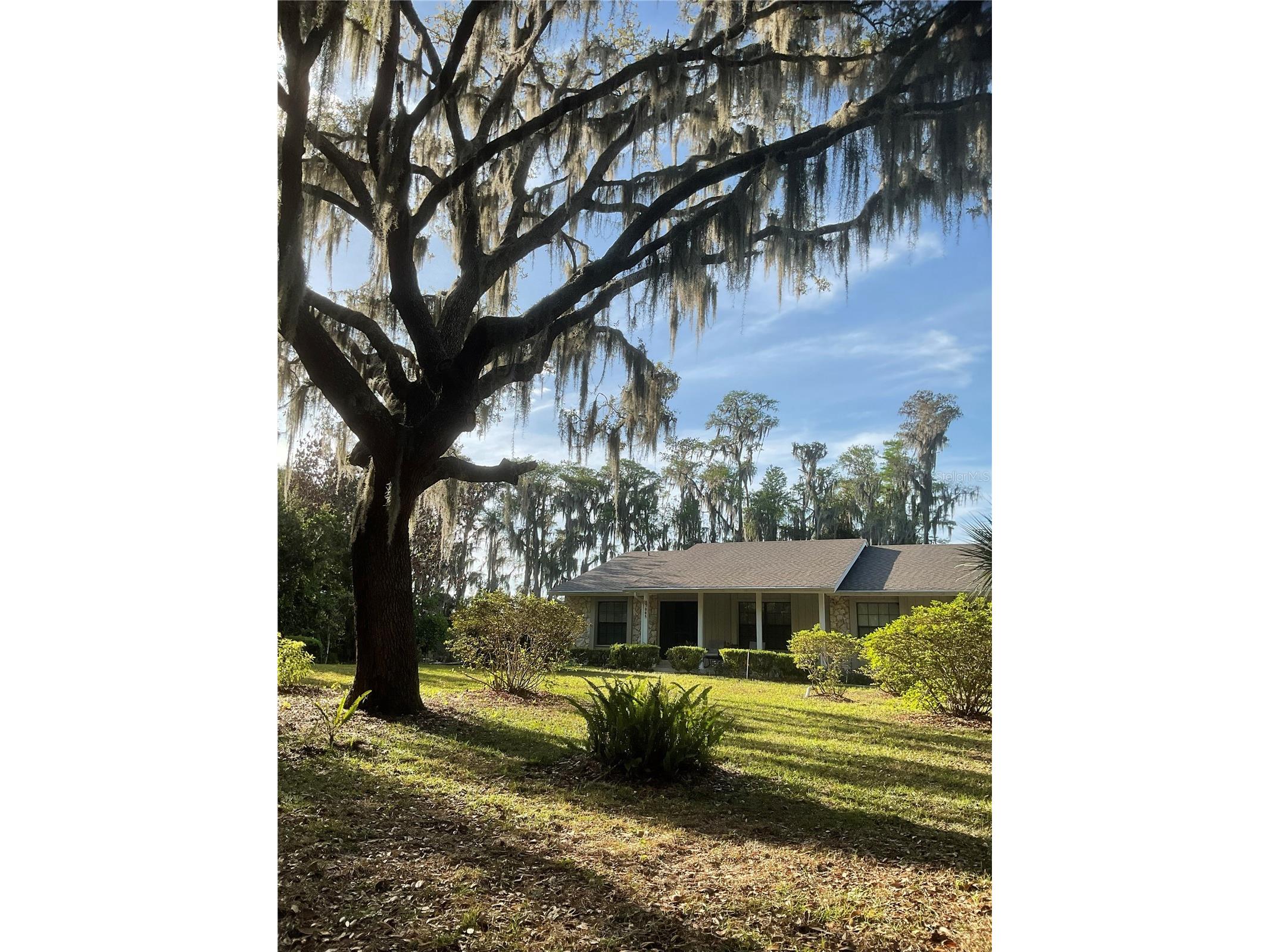 17005 Arrowhead Boulevard Winter Garden FL 34787 - REXFORD LAKES O6401039 image1