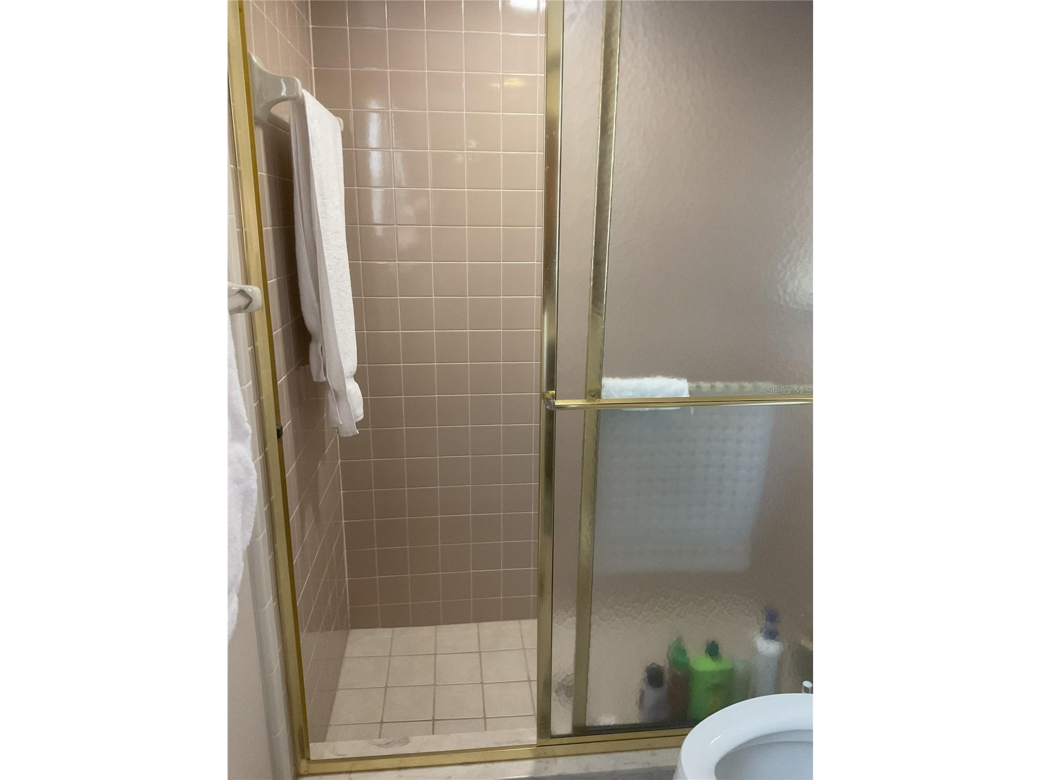 17005 Arrowhead Boulevard Winter Garden FL 34787 - REXFORD LAKES O6401039 image10