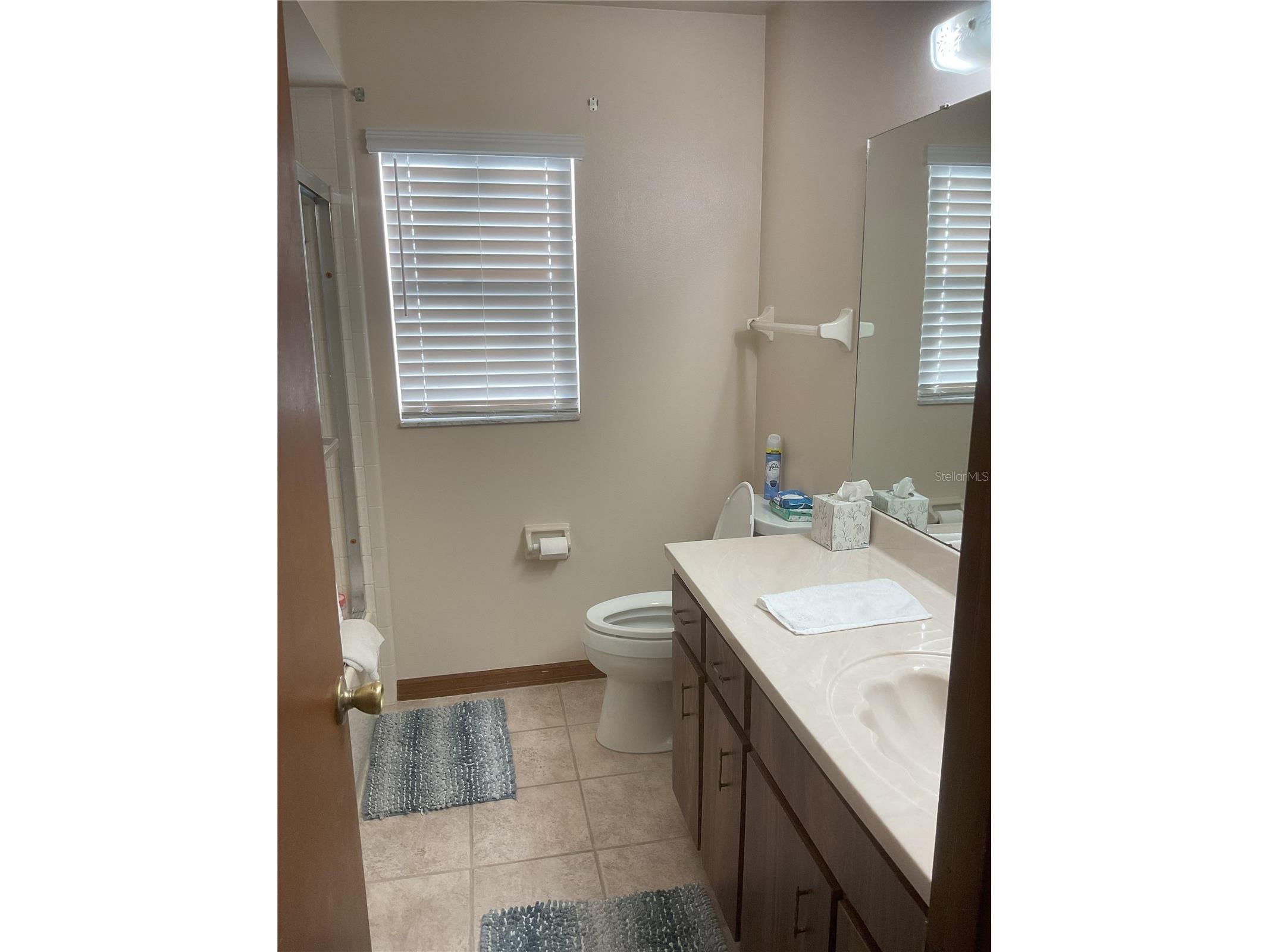 17005 Arrowhead Boulevard Winter Garden FL 34787 - REXFORD LAKES O6401039 image15