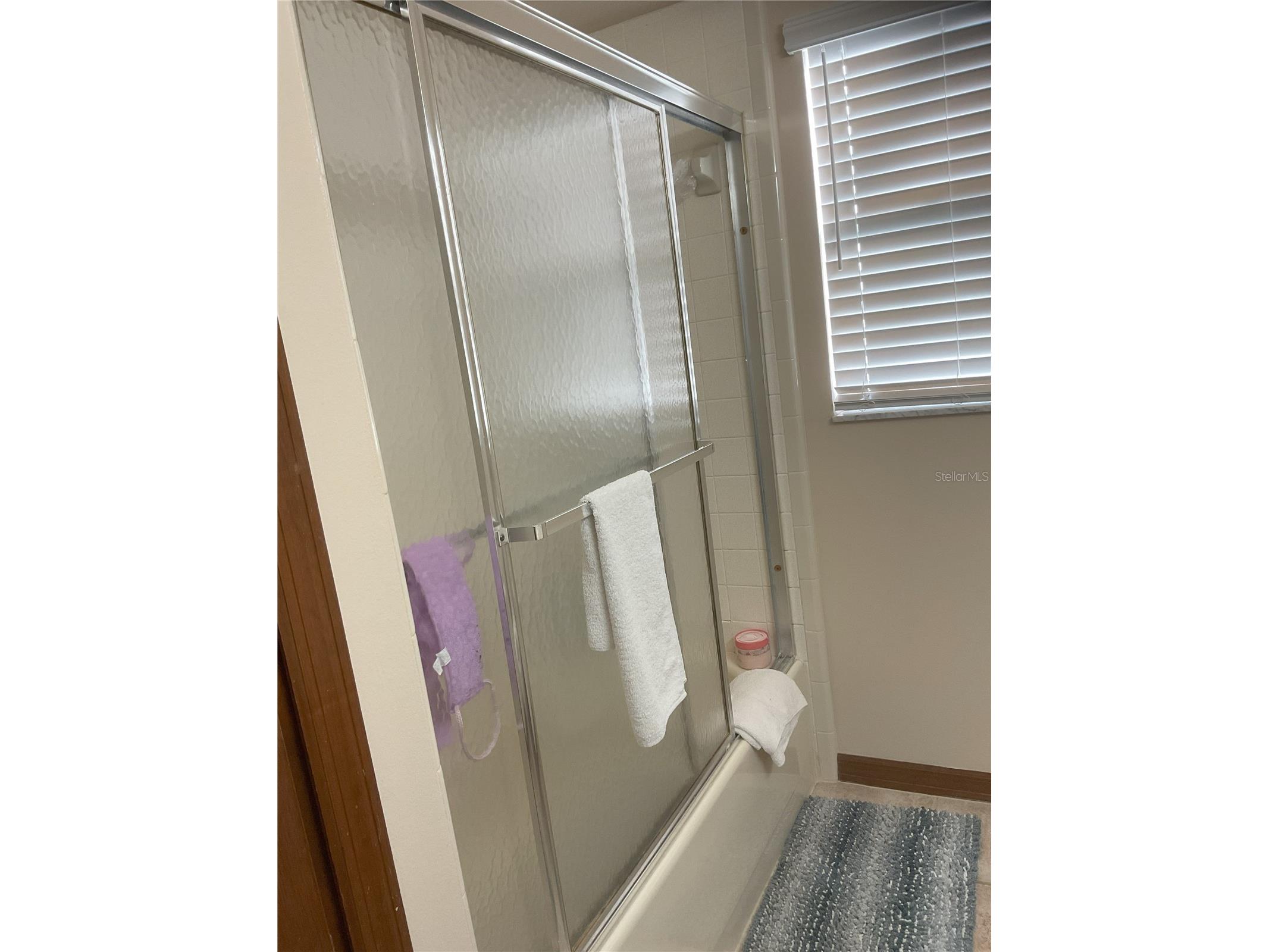17005 Arrowhead Boulevard Winter Garden FL 34787 - REXFORD LAKES O6401039 image16