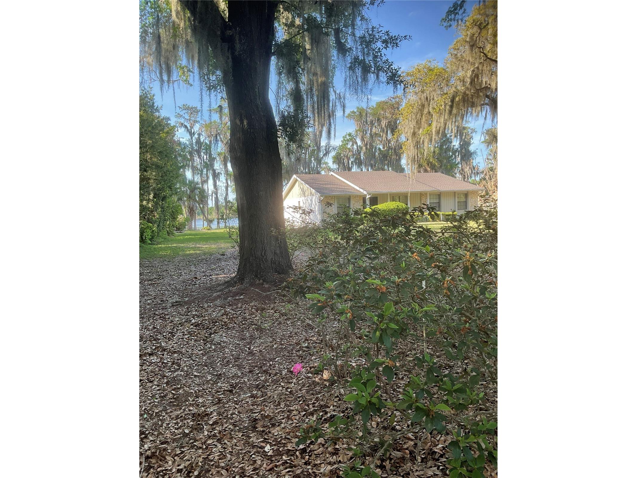 17005 Arrowhead Boulevard Winter Garden FL 34787 - REXFORD LAKES O6401039 image36