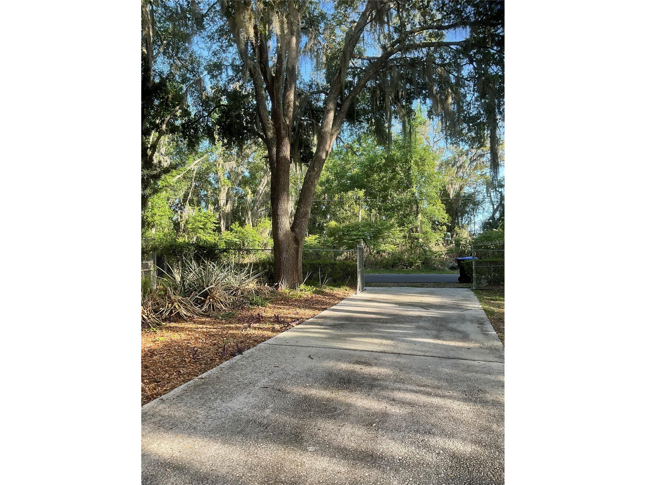 17005 Arrowhead Boulevard Winter Garden FL 34787 - REXFORD LAKES O6401039 image39