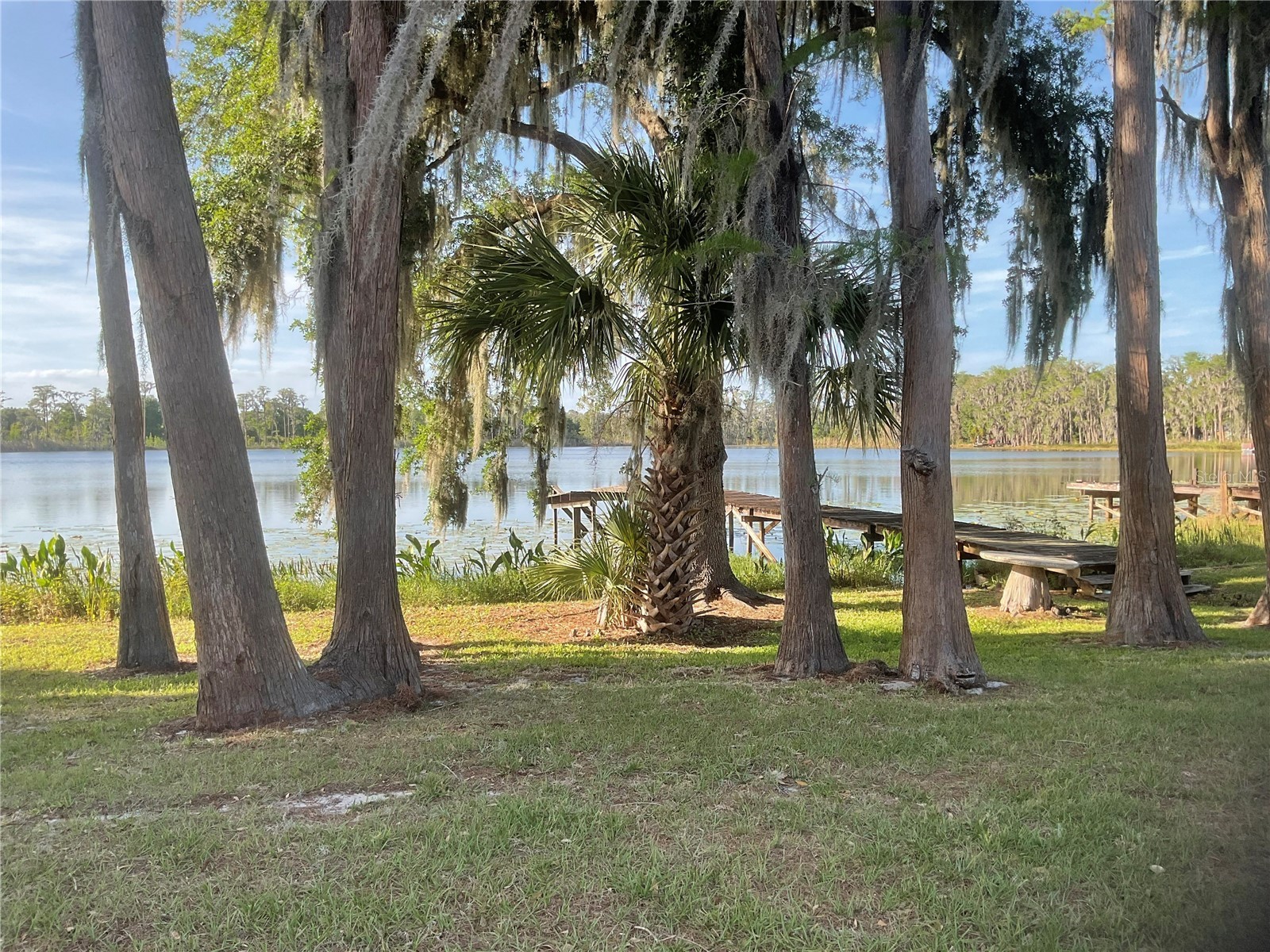 17005 Arrowhead Boulevard Winter Garden FL 34787 - REXFORD LAKES O6401039 image50