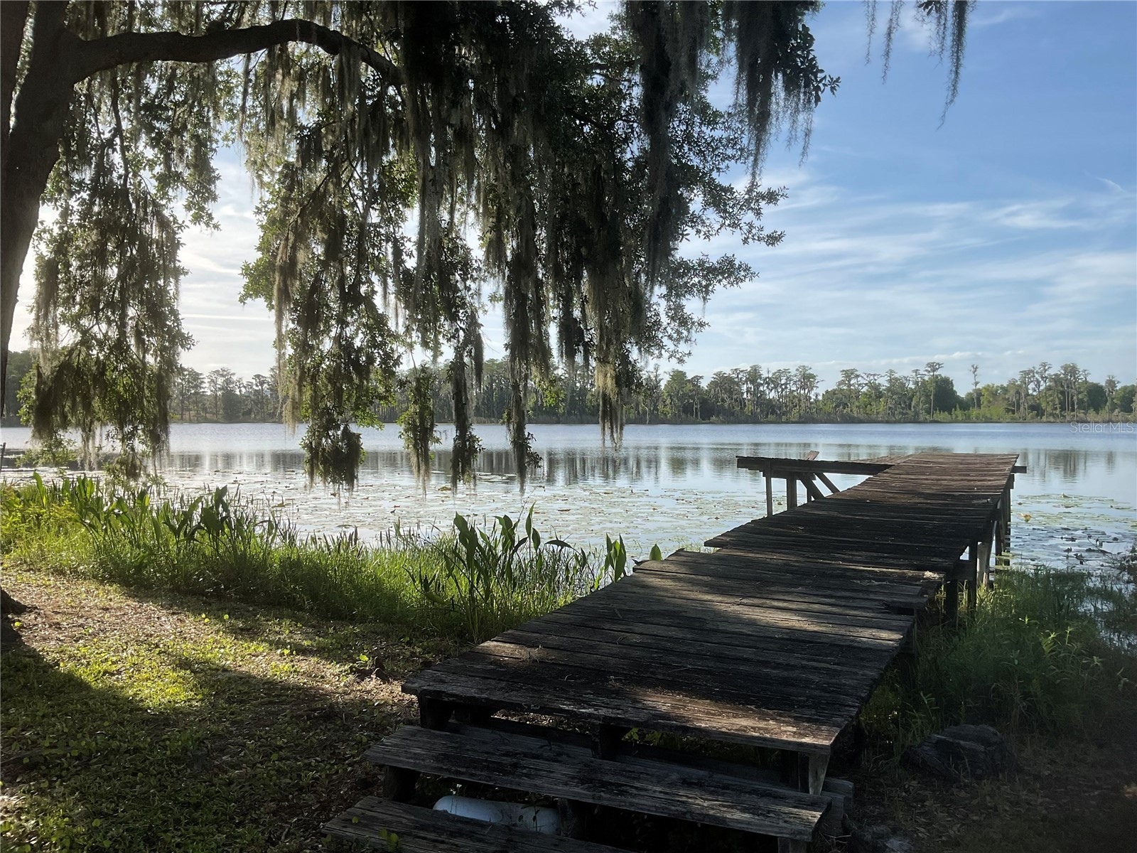 17005 Arrowhead Boulevard Winter Garden FL 34787 - REXFORD LAKES O6401039 image52