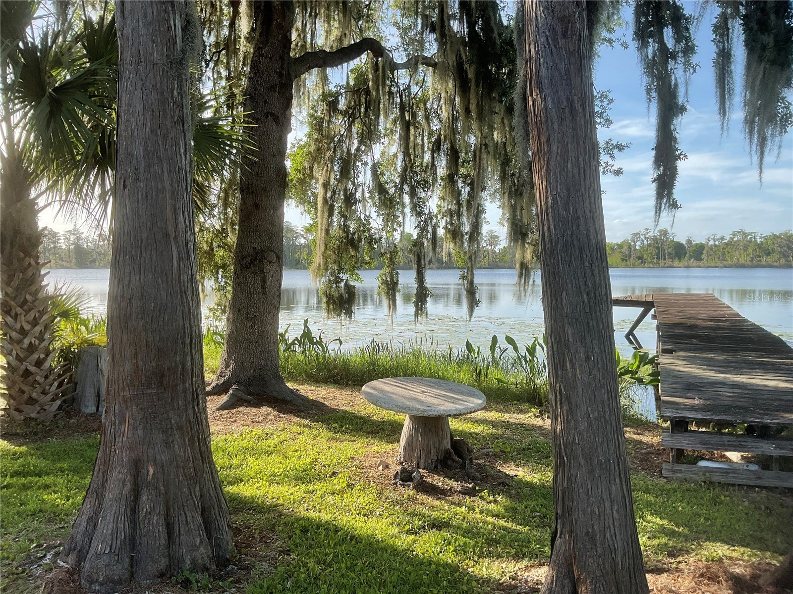 17005 Arrowhead Boulevard Winter Garden FL 34787 - REXFORD LAKES O6401039 image53