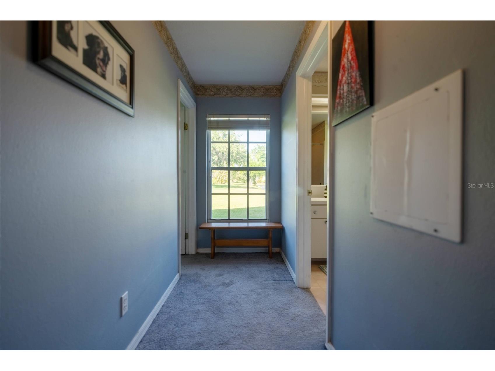 17005 Equestrian Trail Odessa FL 33556 TB8502841 image28