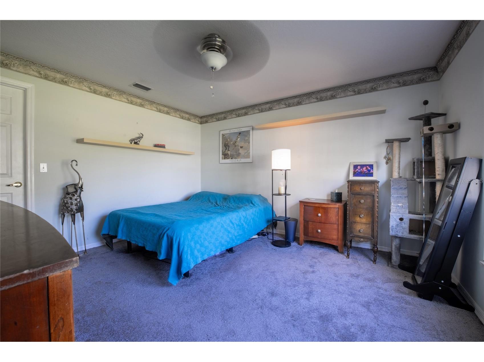 17005 Equestrian Trail Odessa FL 33556 TB8502841 image29