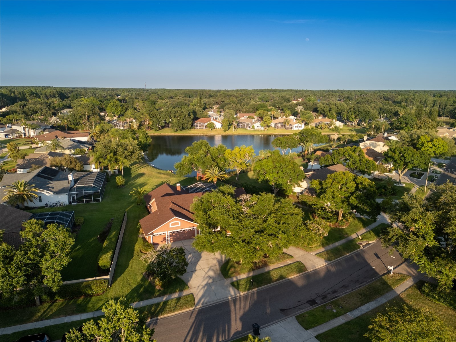 17005 Equestrian Trail Odessa FL 33556 TB8502841 image39
