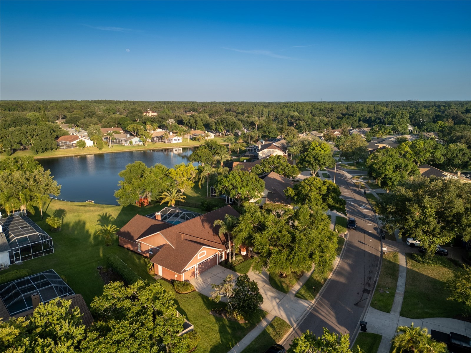 17005 Equestrian Trail Odessa FL 33556 TB8502841 image4