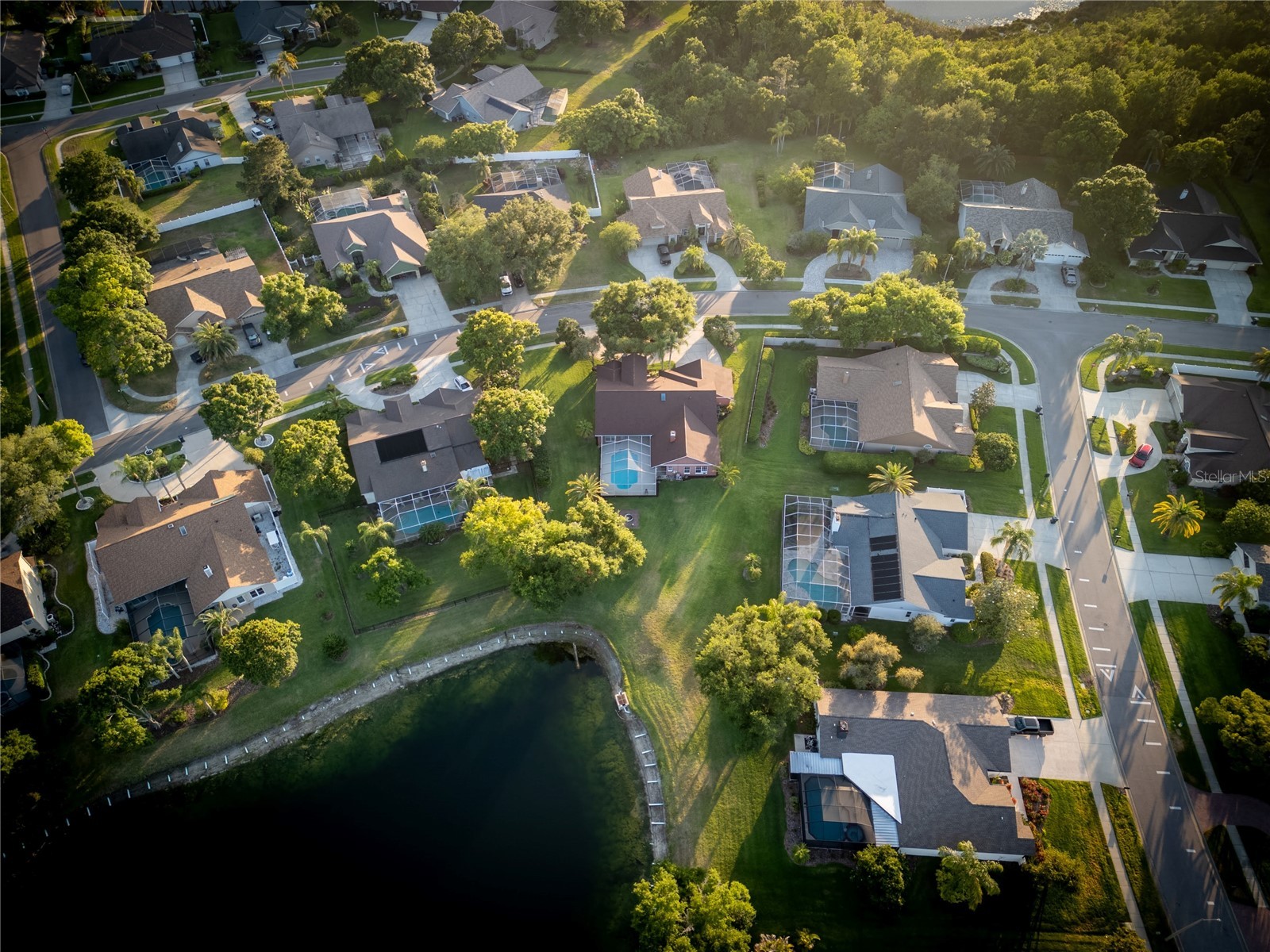 17005 Equestrian Trail Odessa FL 33556 TB8502841 image41
