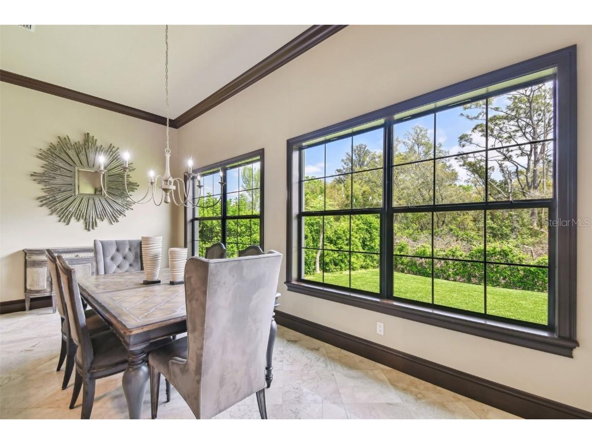 17005 Madres De Avila Tampa FL 33613 TB8364392 image29