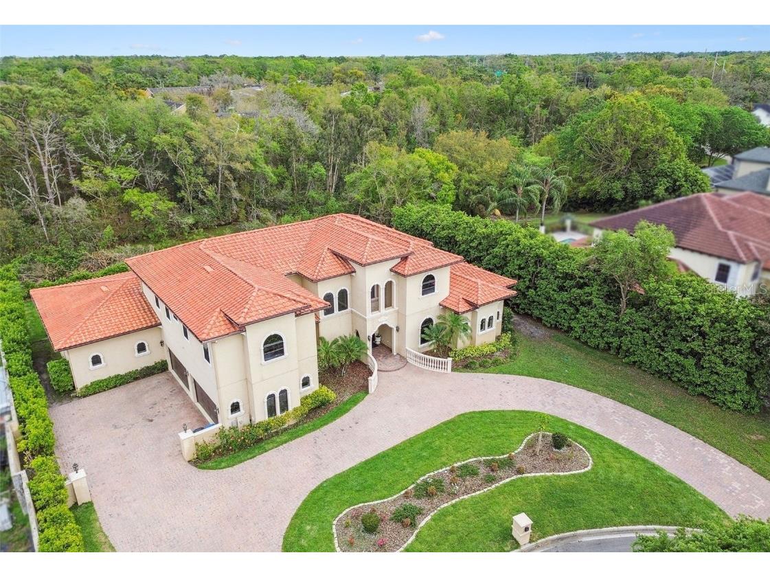 17005 Madres De Avila Tampa FL 33613 TB8364392 image3