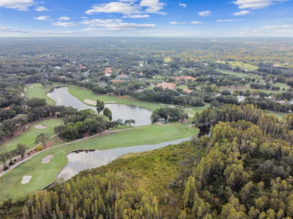 17005 Madres De Avila Tampa FL 33613 TB8364392 image39