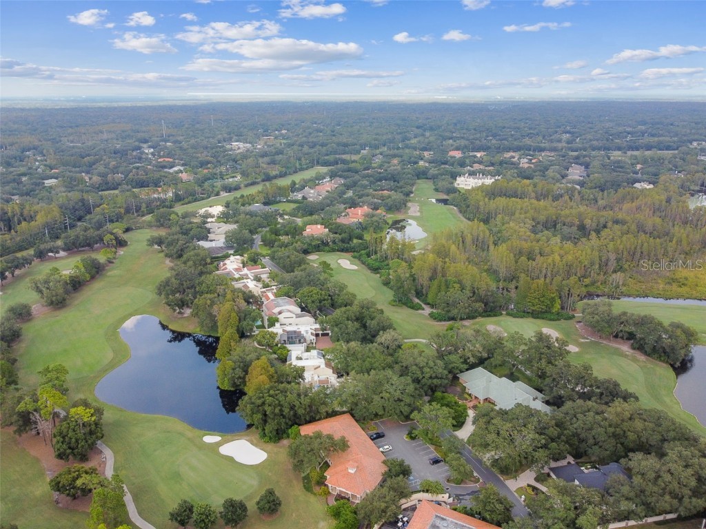 17005 Madres De Avila Tampa FL 33613 TB8364392 image40