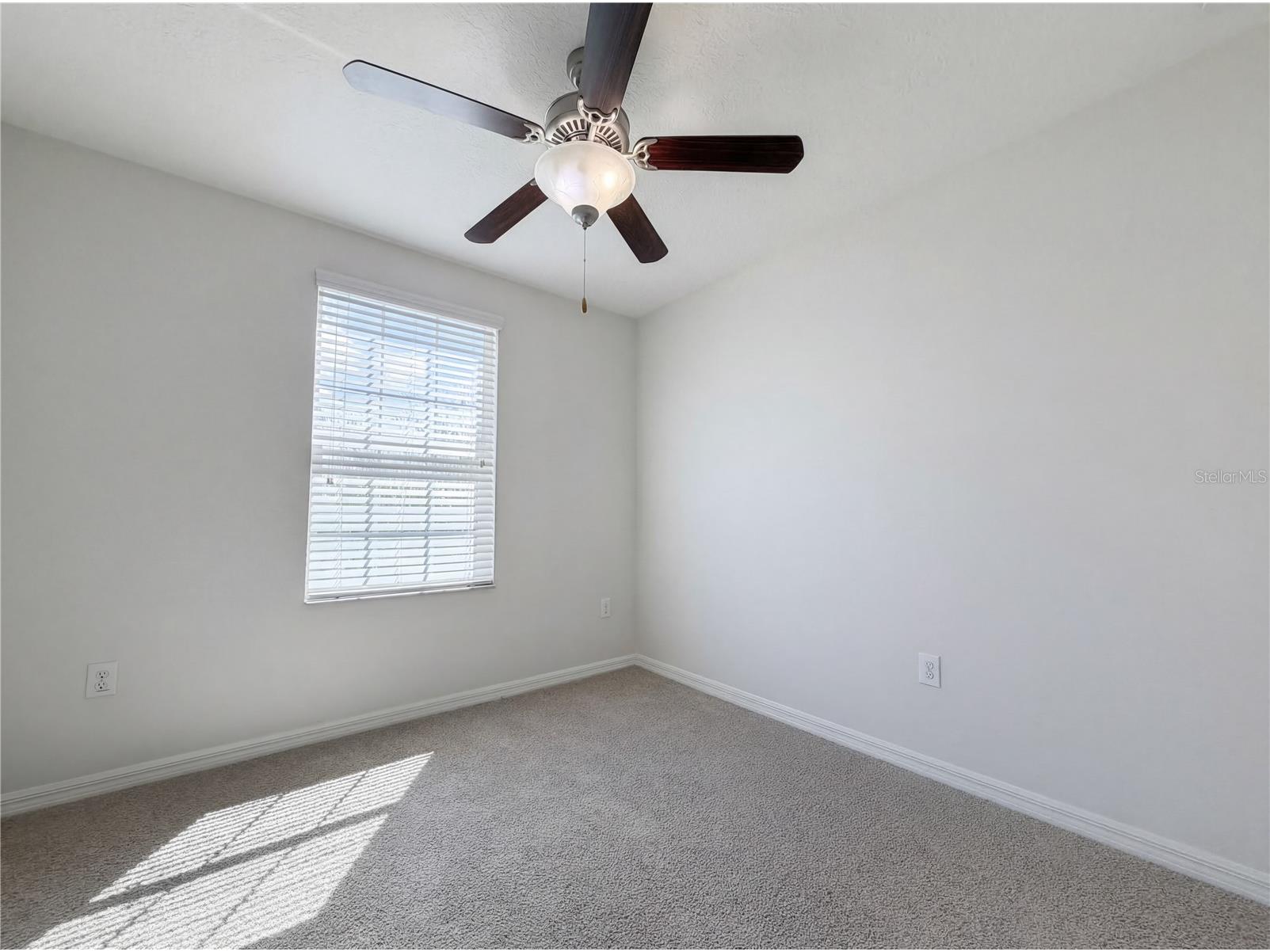 17005 Peaceful Valley Drive Wimauma FL 33598 TB8486411 image13