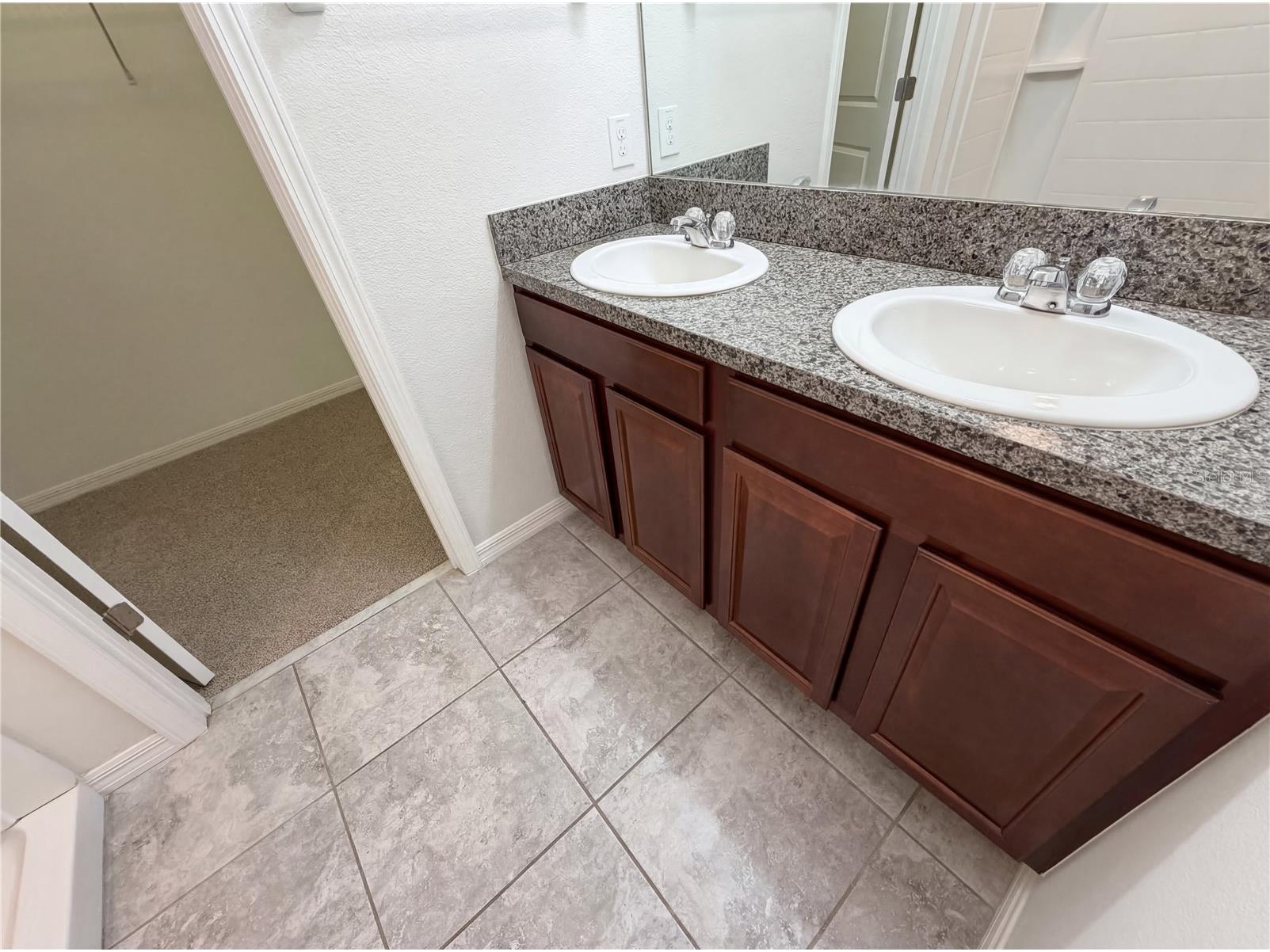 17005 Peaceful Valley Drive Wimauma FL 33598 TB8486411 image21