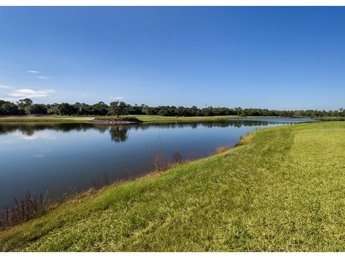17006 Vardon Terrace #402 Bradenton FL 34211 A4697817 image19