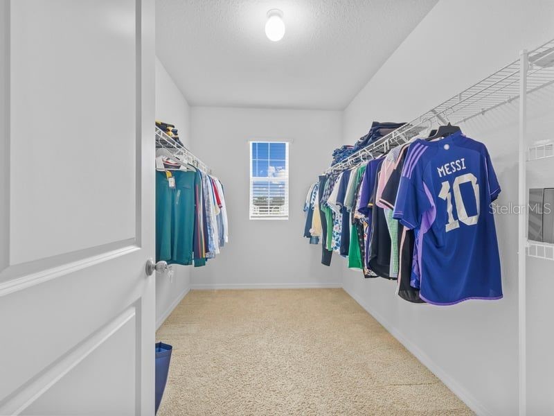 17006 Wave Tressle Place Wimauma FL 33598 TB8481385 image12