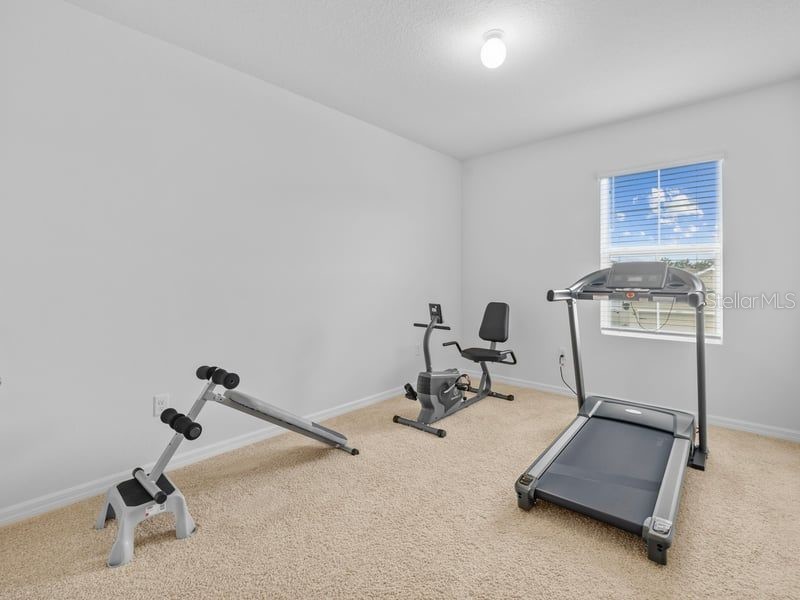 17006 Wave Tressle Place Wimauma FL 33598 TB8481385 image9