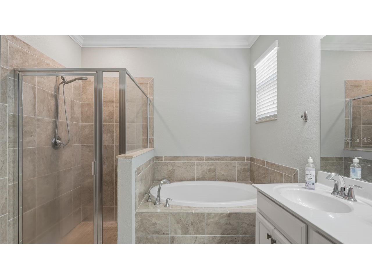 17007 Blue Ridge Place Bradenton FL 34211 A4690155 image22