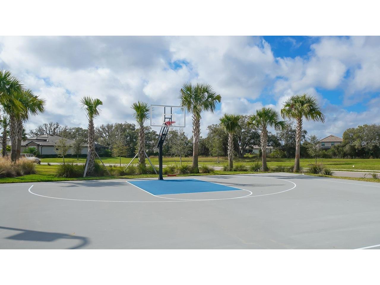 17007 Blue Ridge Place Bradenton FL 34211 A4690155 image65
