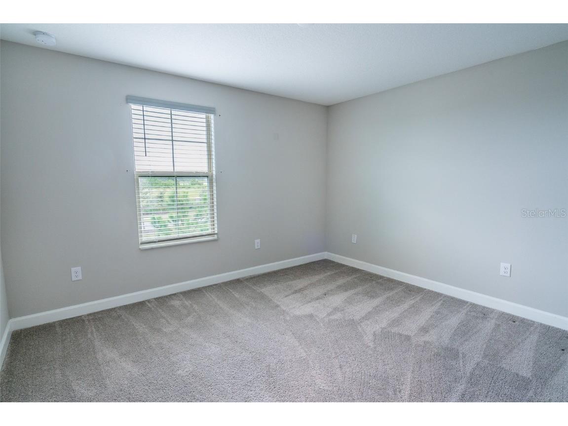 17009 Clear Cork Drive Wimauma FL 33598 TB8453307 image16