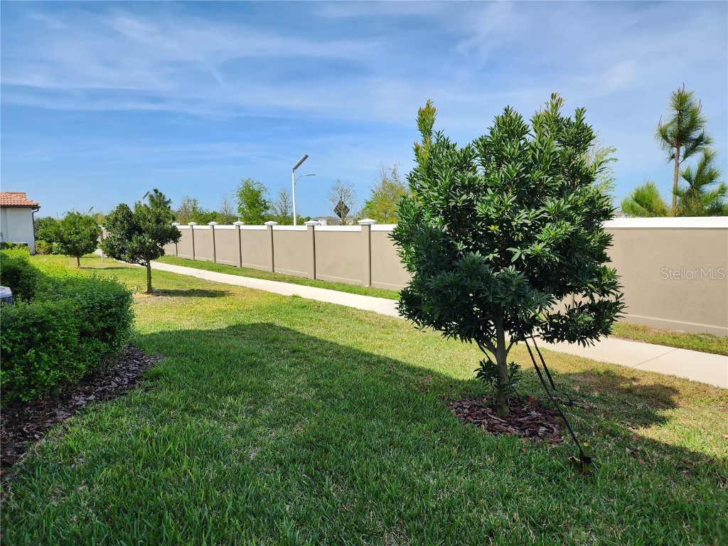 17009 Clear Cork Drive Wimauma FL 33598 TB8453307 image22