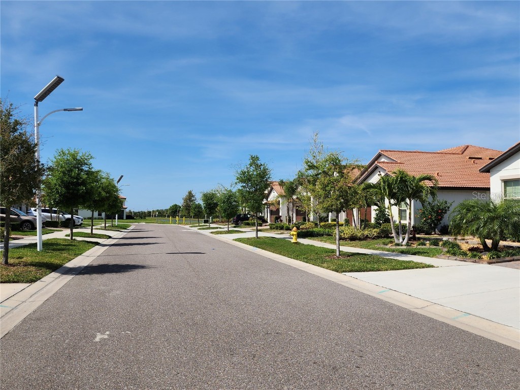 17009 Clear Cork Drive Wimauma FL 33598 TB8453307 image23