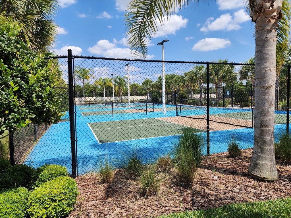 17009 Clear Cork Drive Wimauma FL 33598 TB8453307 image29