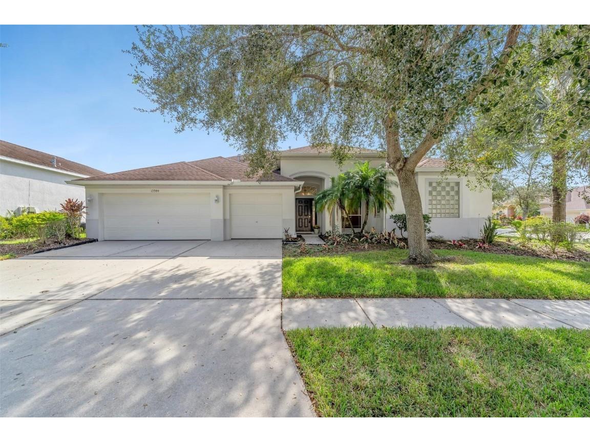 17009 Falconridge Road Lithia FL 33547 T3481434 image1