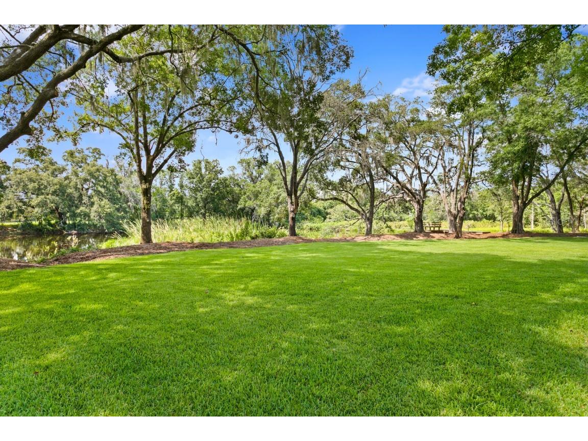 17009 Midas Lane Lutz FL 33549 T3451489 image1