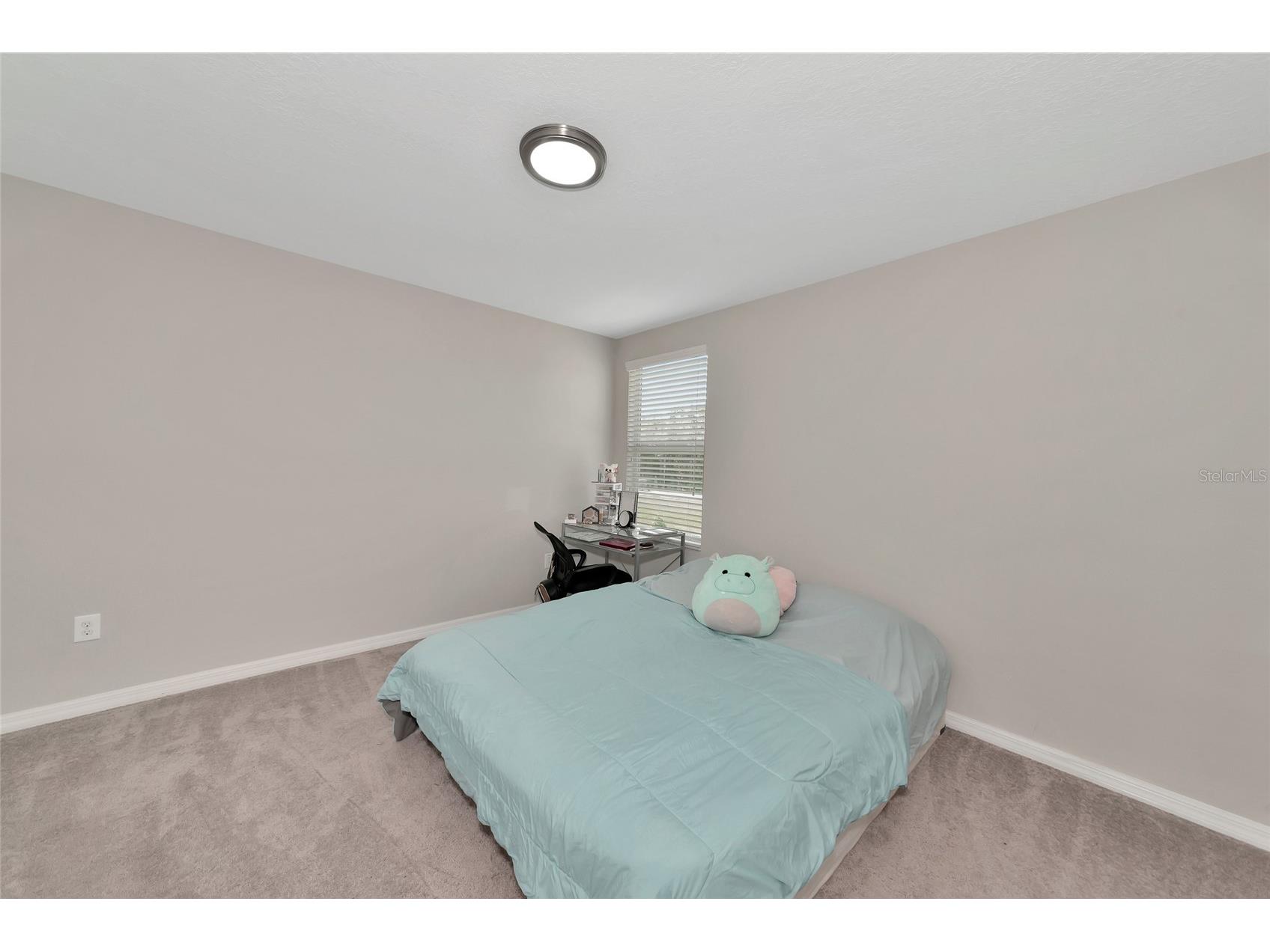 17009 Peaceful Valley Drive Wimauma FL 33598 A4687607 image15