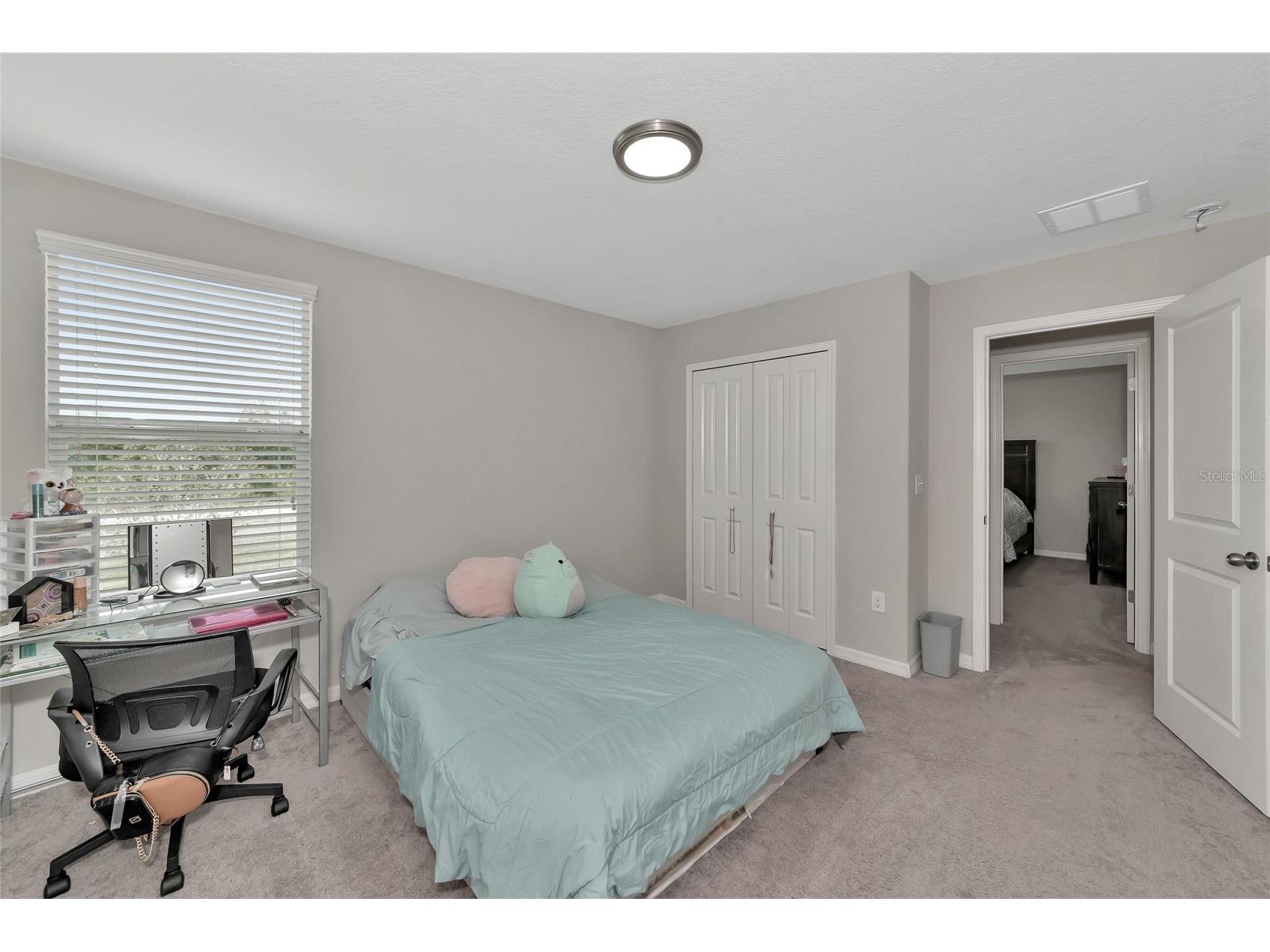 17009 Peaceful Valley Drive Wimauma FL 33598 A4687607 image16