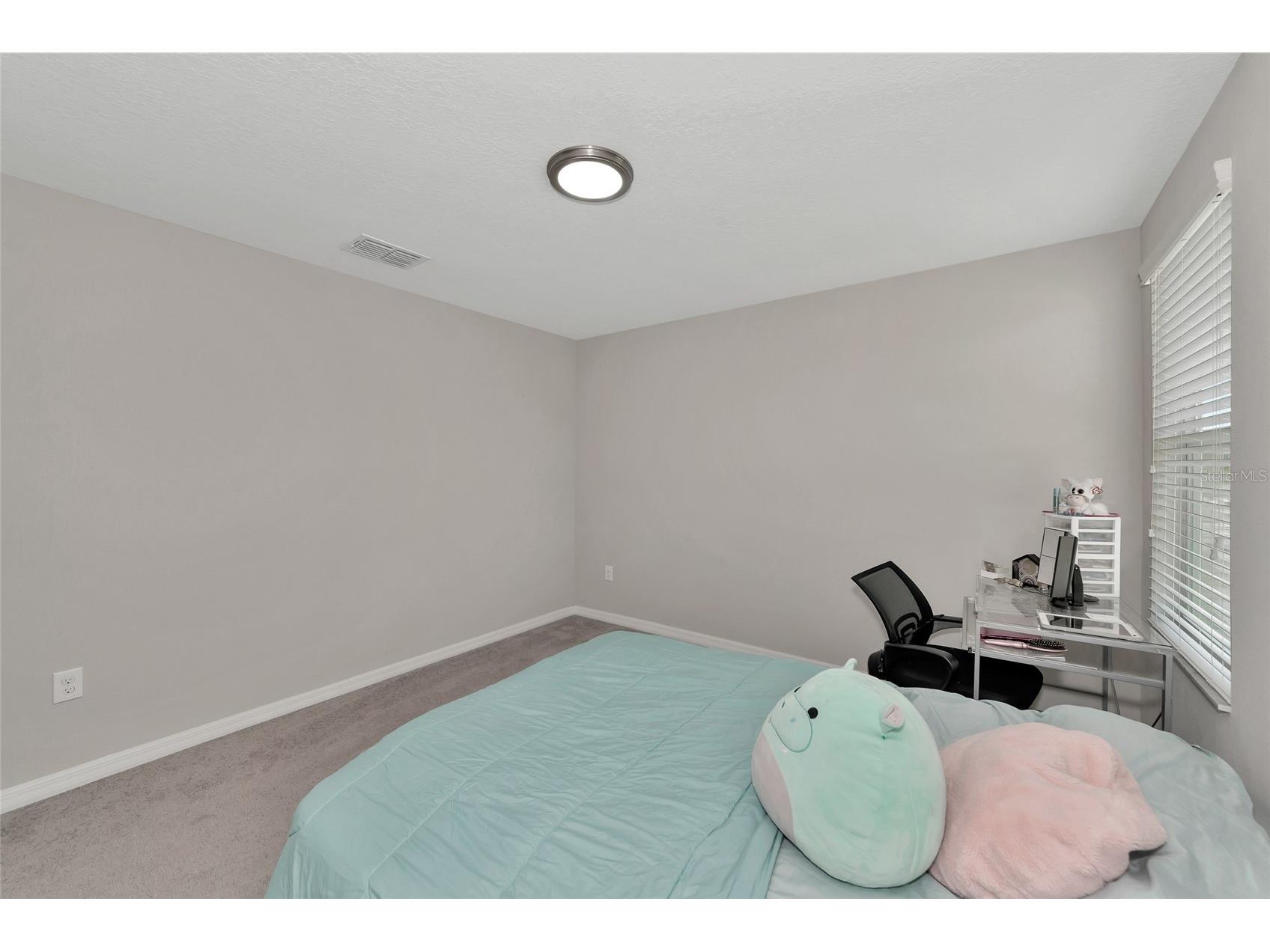 17009 Peaceful Valley Drive Wimauma FL 33598 A4687607 image17