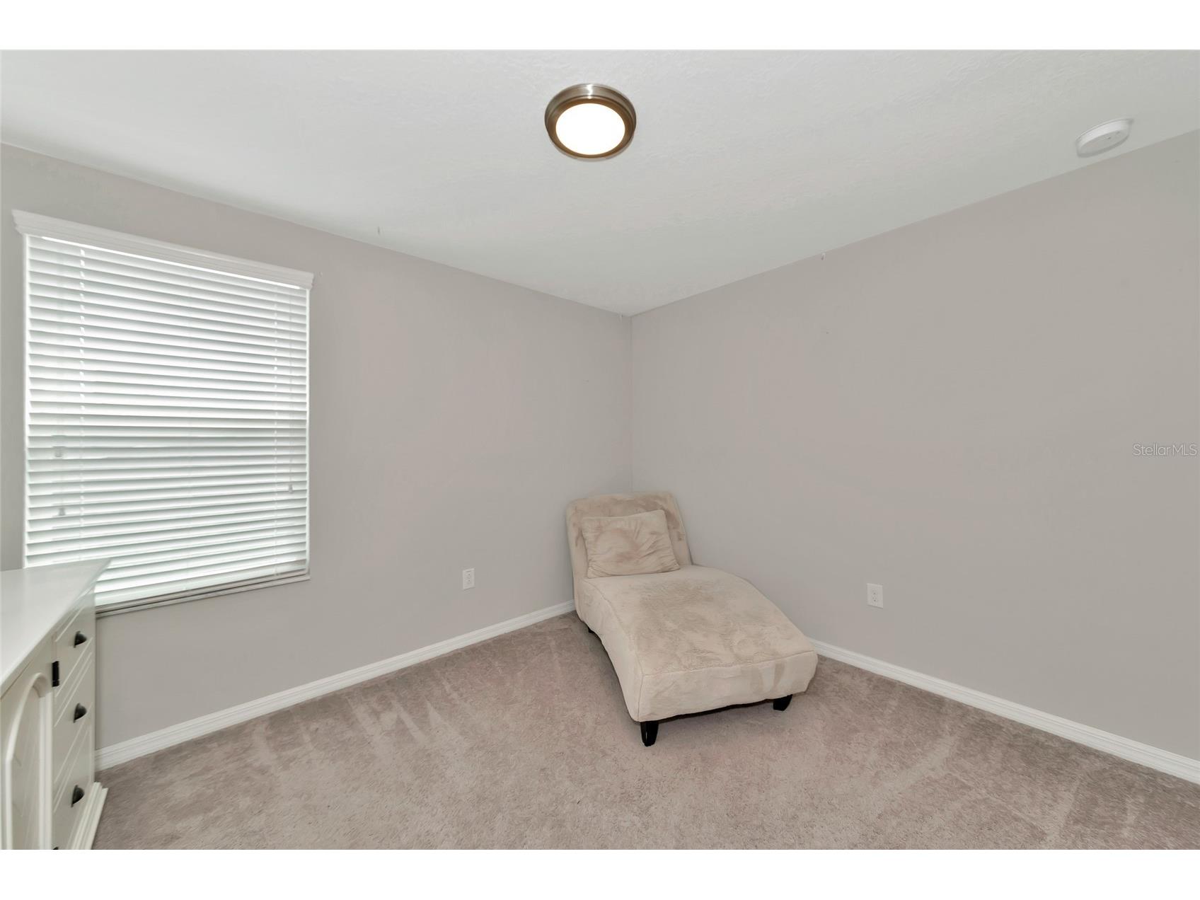 17009 Peaceful Valley Drive Wimauma FL 33598 A4687607 image19