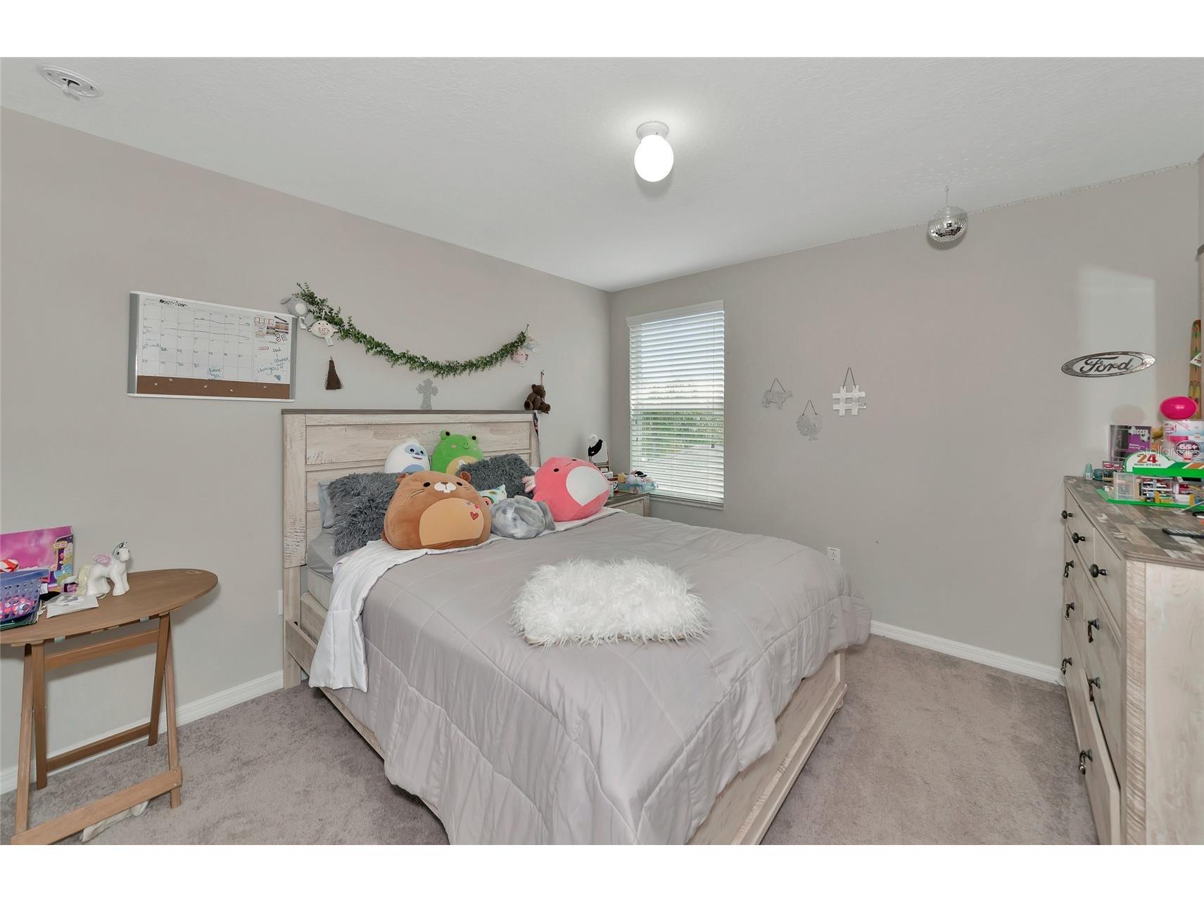 17009 Peaceful Valley Drive Wimauma FL 33598 A4687607 image22