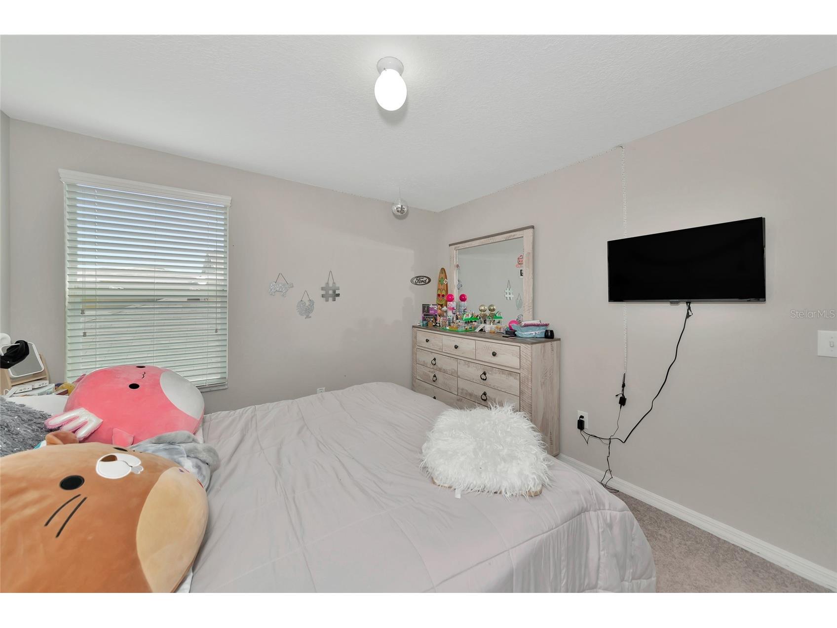 17009 Peaceful Valley Drive Wimauma FL 33598 A4687607 image23