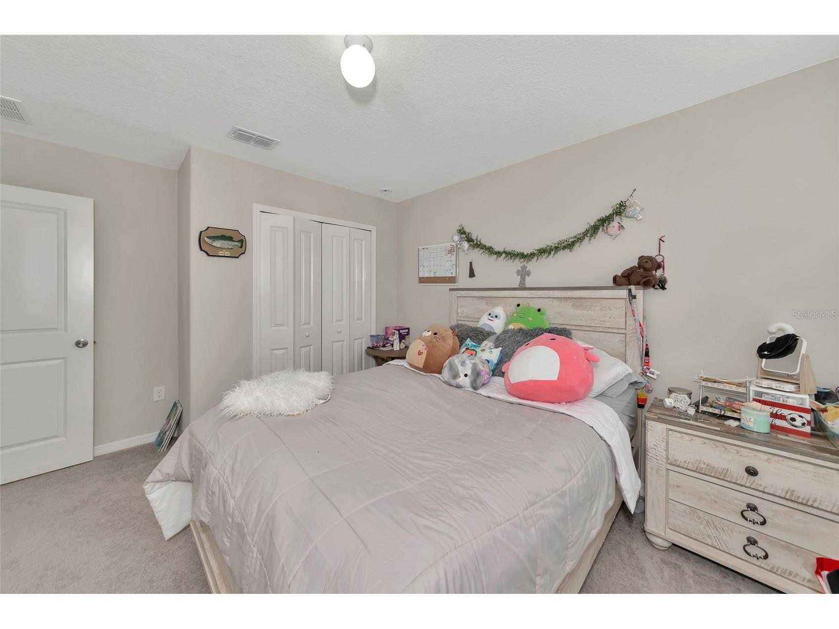 17009 Peaceful Valley Drive Wimauma FL 33598 A4687607 image24